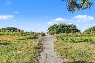 Land's End 10-303 Beach Front - Premier - St Pete Beach - 2