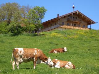 Huberbauernhof Ferienwohnungen - 8