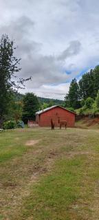 Cabañas Antu-Mapu - 2