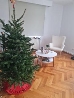 2 rooms Flat - new refurbished - best view - best location - 7