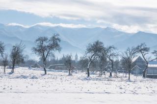 Curte la Munte - charming village house - 7