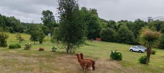 Cabañas Antu-Mapu - 5