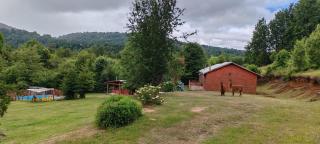 Cabañas Antu-Mapu - 8