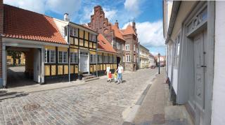 Golf Hotel Viborg - Viborg - 7