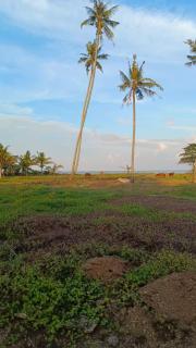 Alhambra Beach Staycation - Bachok - 6