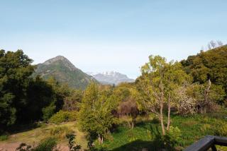 Spacious and comfortable house on the mountain - 3