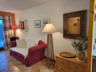 Les Grandes Jorasses 3 - Jardin - Vue massif Mont Blanc - 3