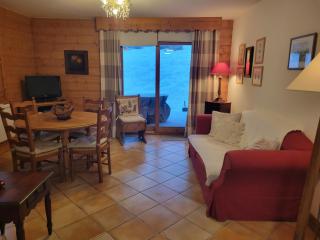 Les Grandes Jorasses 3 - Jardin - Vue massif Mont Blanc - 2