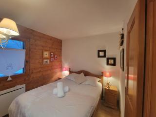 Les Grandes Jorasses 3 - Jardin - Vue massif Mont Blanc - 1