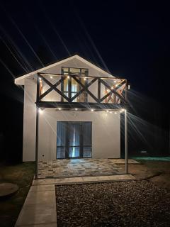 Тиша лісу - 0