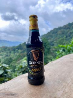 Migogo Gorilla Lodge - 2