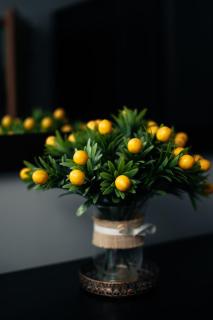 Cozy City Center Flat w Netflix - 4