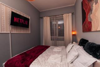 Cozy City Center Flat w Netflix - 4