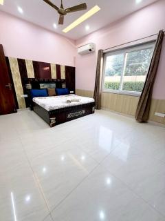 Mango People Farm - 8