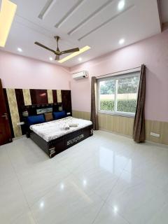 Mango People Farm - 6