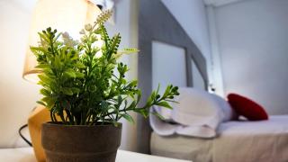 Apartalux San Pedro Playa - 1