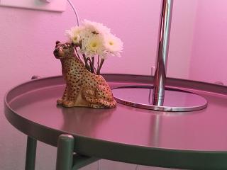 Hill View Home 3 - Ko Phangan - 4