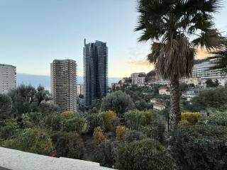 Monaco Border - Terrasse vue mer - Piscine - FF - 1