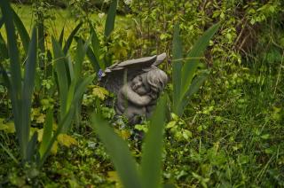 Haus Hohenholz Landhaus, Sauna, Kaminofen, parkähnlicher Garten - 7