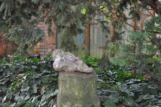 Haus Hohenholz Landhaus, Sauna, Kaminofen, parkähnlicher Garten - 4