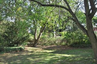 Haus Hohenholz Landhaus, Sauna, Kaminofen, parkähnlicher Garten - 1