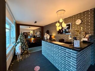 Grand Petit Hotel ex Shato Gesson - Prague - 9