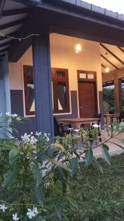 One More Night Hostel - 1