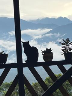 Cloud forest hostel - 7