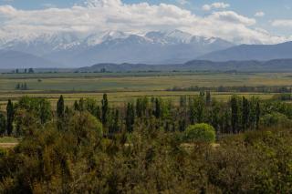 Om infinity - Pre opening - 5