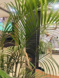 The Belwoods Park - 1