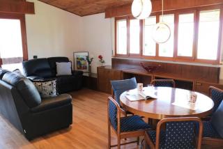 Villa with garden and cosy attic - 2