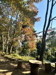 Camping de Kalimpong - 3