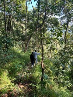 Camping de Kalimpong - 2