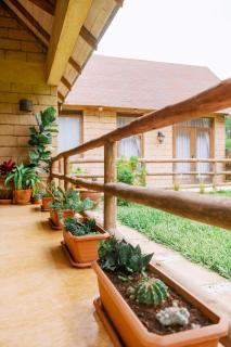 Rustic and relaxing country getaway - 8