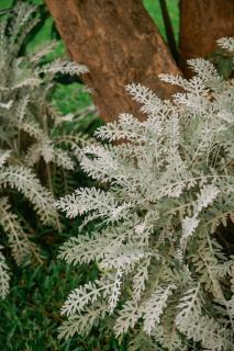 Rustic and relaxing country getaway - 7