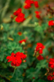 Rustic and relaxing country getaway - 3