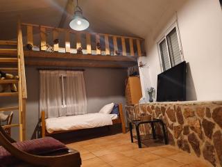 Buenas vistas y privacidad, tranquila y fresca villa en el bosque de Valencia con una magnífica piscina de 80m2 - 9