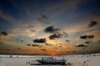 Venitia Homestay - 7