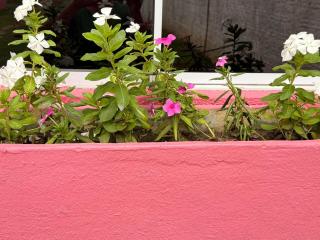 Family Space - Chacara Rosa Beautiful and Comfortable - 7