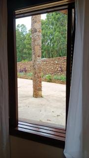 Vinhas das Grutas - 8