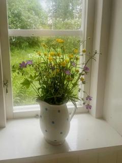 Charming 1900S Cottage In Billinge Village - 4