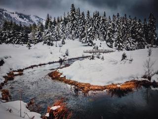 ΑΡΧΟΝΤΙΚΌ Μουζάκι ΚΑΡΔΙΤΣΑ ΤΡΙΚΑΛΑ - 3