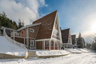 Freeman-3a - двокімнатний апартамент на увесь перший поверх котеджу - це виокремлена незалежна ЧАСТИНА БУДИНКУ з окремим входом з великою терасою та грилем для 4 гостей - Bukovel - 5