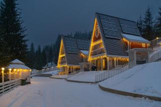 Freeman-3a - двокімнатний апартамент на увесь перший поверх котеджу - це виокремлена незалежна ЧАСТИНА БУДИНКУ з окремим входом з великою терасою та грилем для 4 гостей - Bukovel - 9