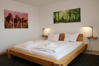 Haus Findling, 10 Personen, Schluchsee, Hochschwarzwaldkarte - 8