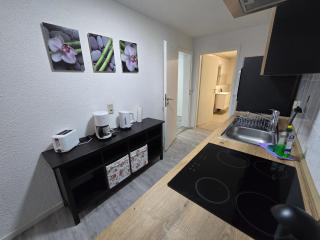 FERIENWOHNUNG 75m2 APARTMENT in ZITTAUER STADTZENTRUM INNENSTADT INNENRING TOP LAGE - WOHNEN AUF ZEIT IN ZITTAU - 3 RAUM WOHNUNG - 1