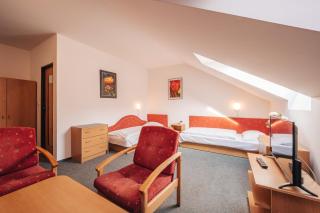 Penzion U Pošty Blatná - Strakonice - 1