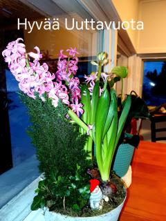 Västersten Sipoo - 9