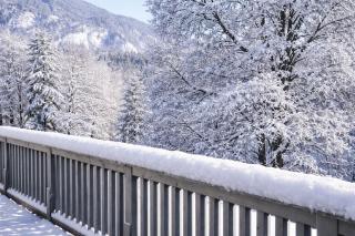 ALPENGONDEL Suite - AlpenLuxus Collection - 7