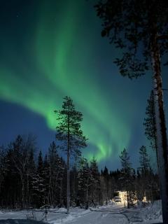 Palas Experience Olkkajärvi Resort - 8